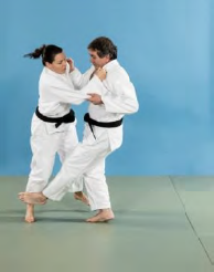 Sasae-tsurikomi-ashi