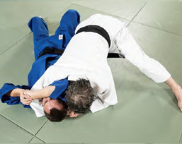 Kata-gatame