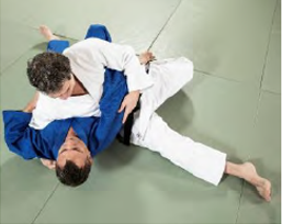 Kuzure-gesa-gatame