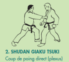 C2_SHUDAN-GIAKU-TSUKI