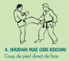 C4_SHUDAN-MAE-GERI-KEKOMI